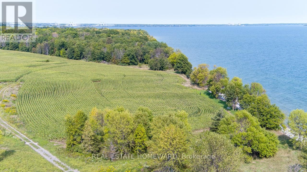 












138 JARVIS LANE

,
Prince Edward County (North Marysburg Ward),







Ontario
K0K2T0

