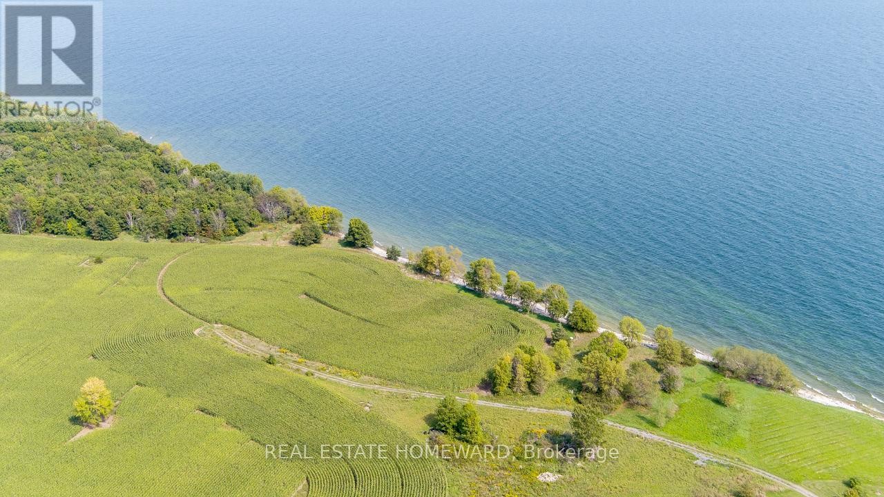 












138 JARVIS LANE

,
Prince Edward County (North Marysburg Ward),







Ontario
K0K2T0

