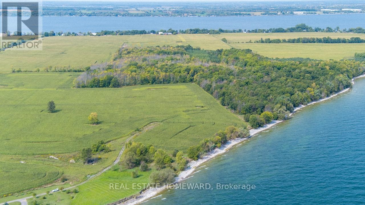 












138 JARVIS LANE

,
Prince Edward County (North Marysburg Ward),







Ontario
K0K2T0

