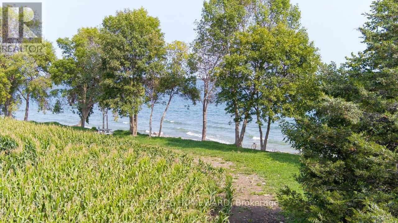 












138 JARVIS LANE

,
Prince Edward County (North Marysburg Ward),







Ontario
K0K2T0

