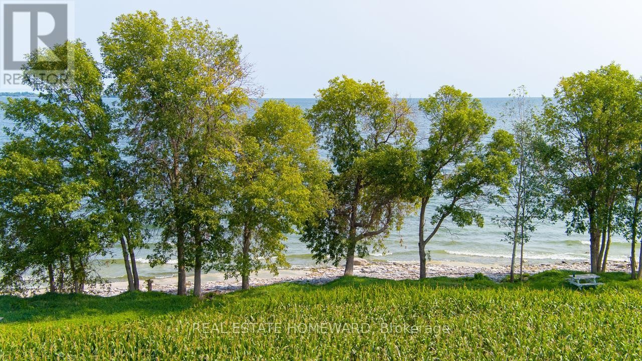 












138 JARVIS LANE

,
Prince Edward County (North Marysburg Ward),







Ontario
K0K2T0

