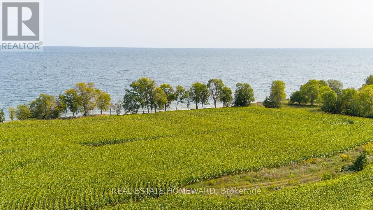 












138 JARVIS LANE

,
Prince Edward County (North Marysburg Ward),







Ontario
K0K2T0

