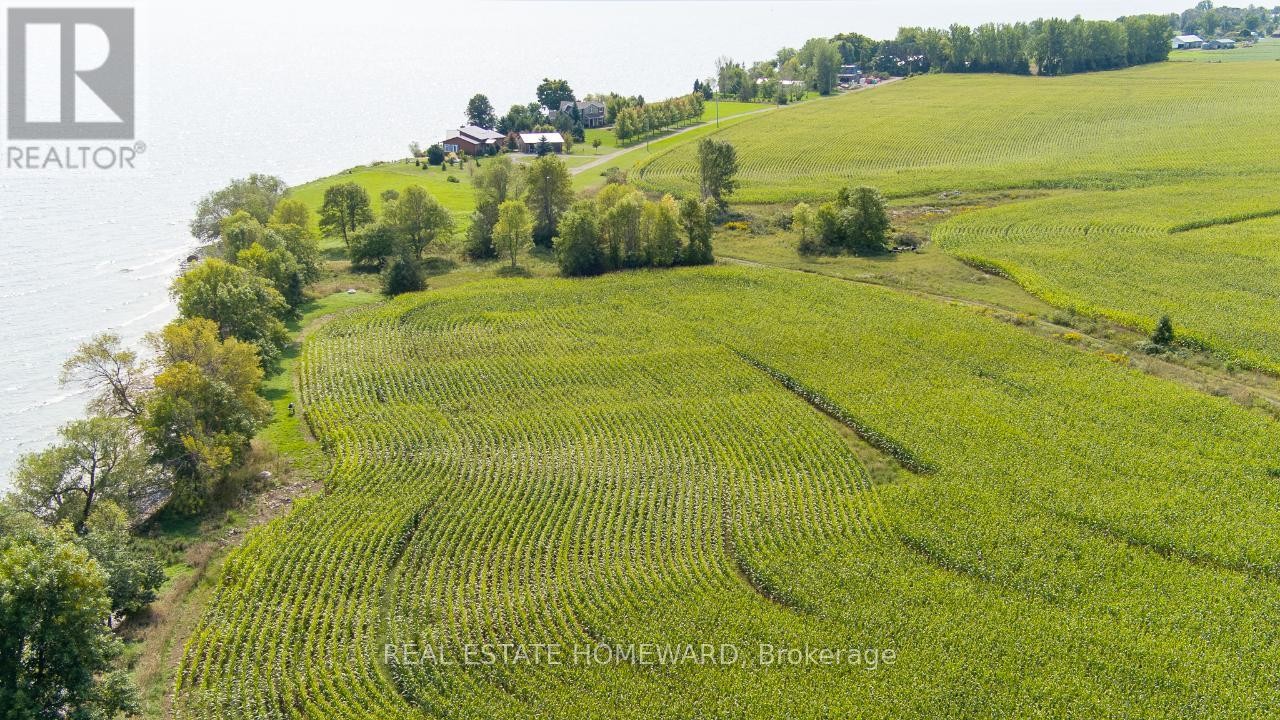 












138 JARVIS LANE

,
Prince Edward County (North Marysburg Ward),







Ontario
K0K2T0

