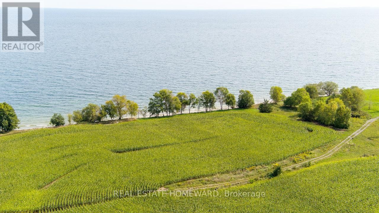 












138 JARVIS LANE

,
Prince Edward County (North Marysburg Ward),







Ontario
K0K2T0

