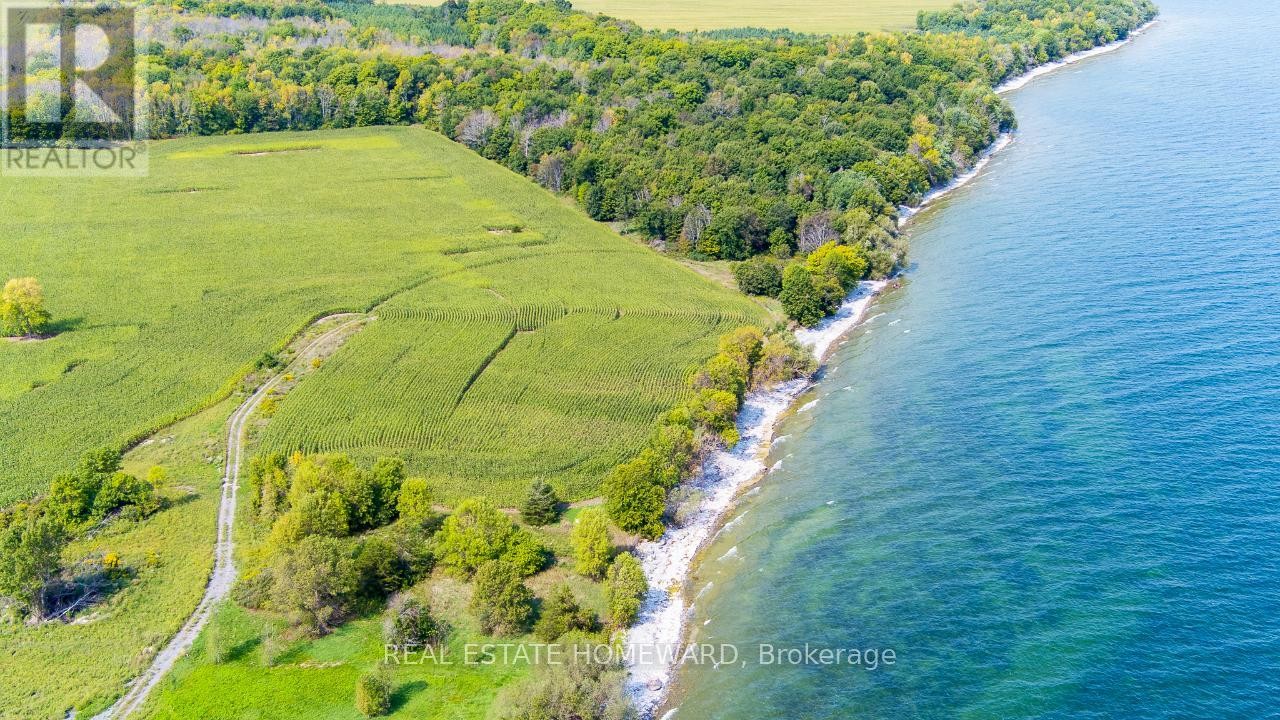 












138 JARVIS LANE

,
Prince Edward County (North Marysburg Ward),







Ontario
K0K2T0

