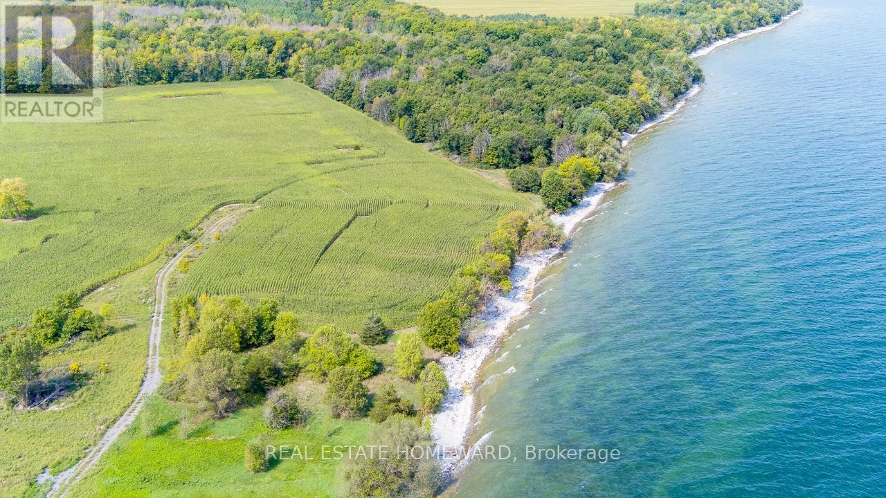 












138 JARVIS LANE

,
Prince Edward County (North Marysburg Ward),







Ontario
K0K2T0

