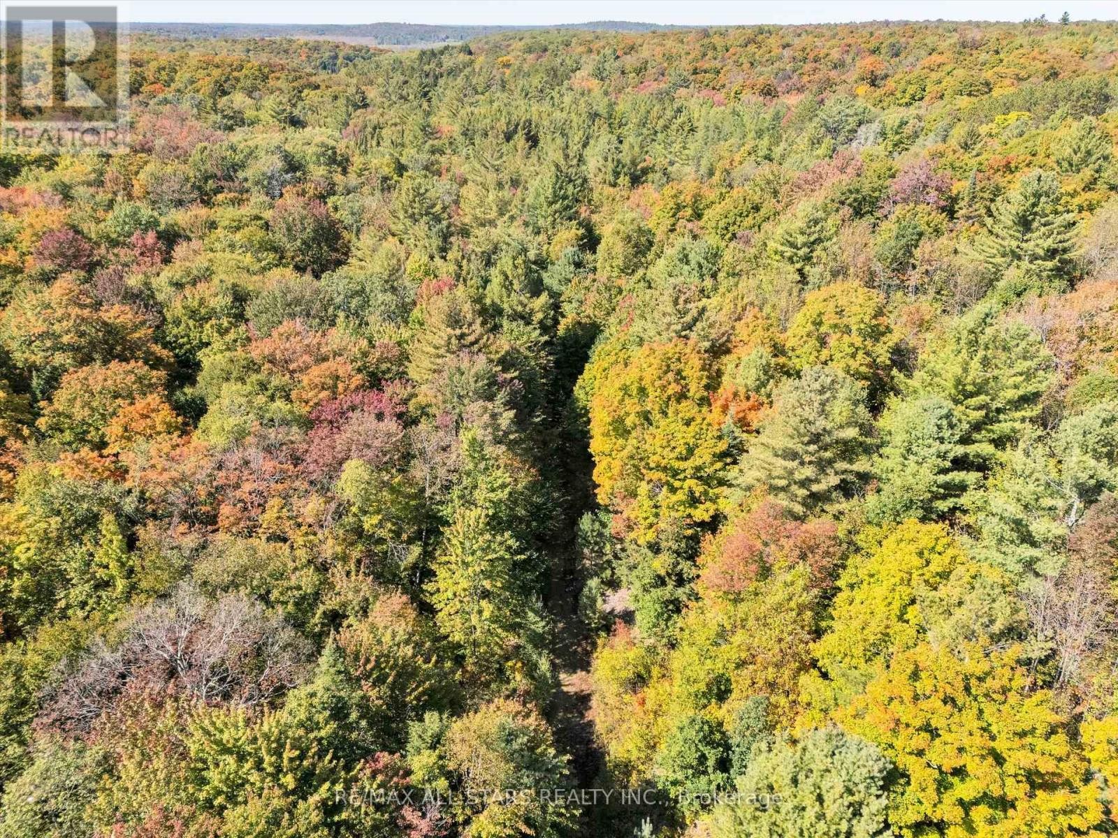 












1435 FALKENBURG ROAD

,
Muskoka Lakes (Monck (Muskoka Lakes)),




Ontario
P1L1X4

