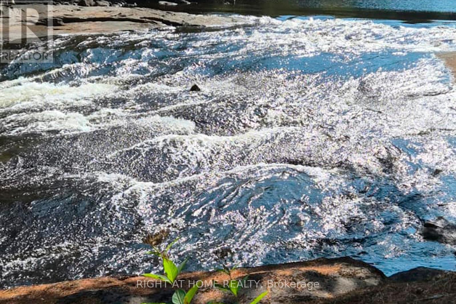 












524 BALSAM CHUTES ROAD

,
Huntsville (Stephenson),




Ontario
P0B1L0

