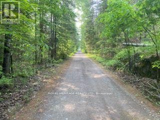 












17556 HIGHWAY 62

,
Madoc,







Ontario
K0K2K0

