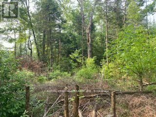 












17556 HIGHWAY 62

,
Madoc,







Ontario
K0K2K0

