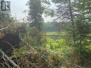 












17556 HIGHWAY 62

,
Madoc,







Ontario
K0K2K0

