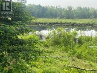 












17556 HIGHWAY 62

,
Madoc,







Ontario
K0K2K0

