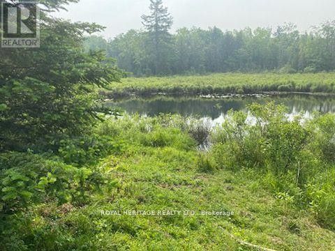 












17556 HIGHWAY 62

,
Madoc,







Ontario
K0K2K0

