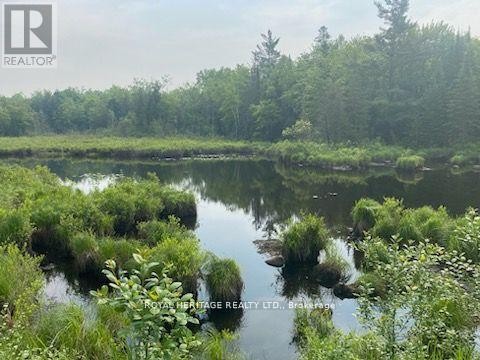 












17556 HIGHWAY 62

,
Madoc,







Ontario
K0K2K0

