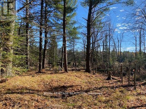 












17556 HIGHWAY 62

,
Madoc,







Ontario
K0K2K0

