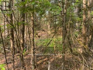 












17556 HIGHWAY 62

,
Madoc,







Ontario
K0K2K0

