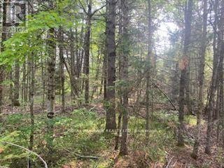 












17556 HIGHWAY 62

,
Madoc,







Ontario
K0K2K0

