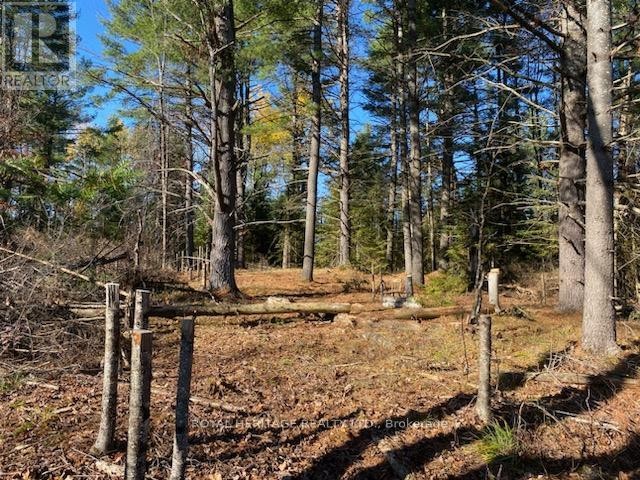 












17556 HIGHWAY 62

,
Madoc,







Ontario
K0K2K0

