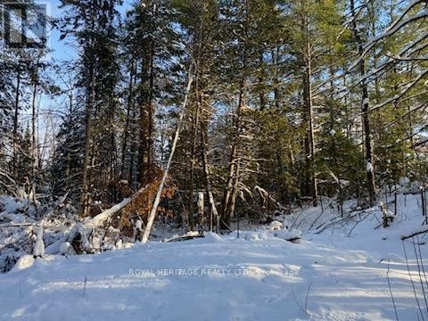 












17556 HIGHWAY 62

,
Madoc,







Ontario
K0K2K0

