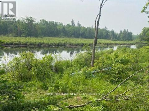 












17556 HIGHWAY 62

,
Madoc,







Ontario
K0K2K0

