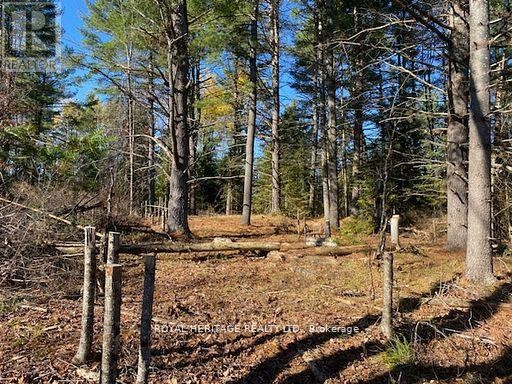 












17556 HIGHWAY 62

,
Madoc,







Ontario
K0K2K0

