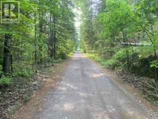 












17556 HIGHWAY 62

,
Madoc,







Ontario
K0K2K0

