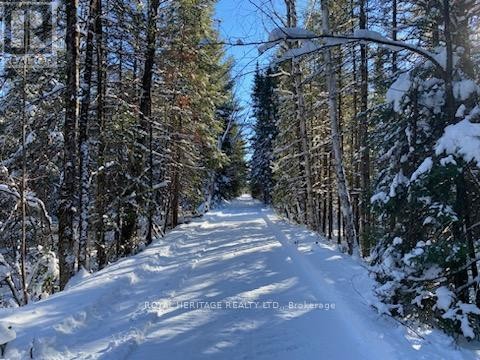 












17556 HIGHWAY 62

,
Madoc,







Ontario
K0K2K0

