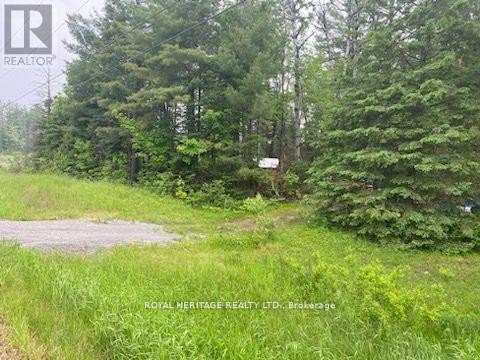 












17556 HIGHWAY 62

,
Madoc,







Ontario
K0K2K0

