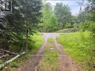 












17556 HIGHWAY 62

,
Madoc,







Ontario
K0K2K0

