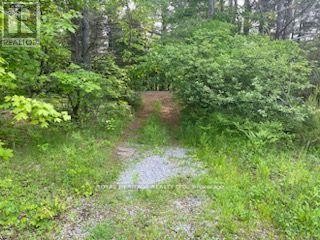 












17556 HIGHWAY 62

,
Madoc,







Ontario
K0K2K0

