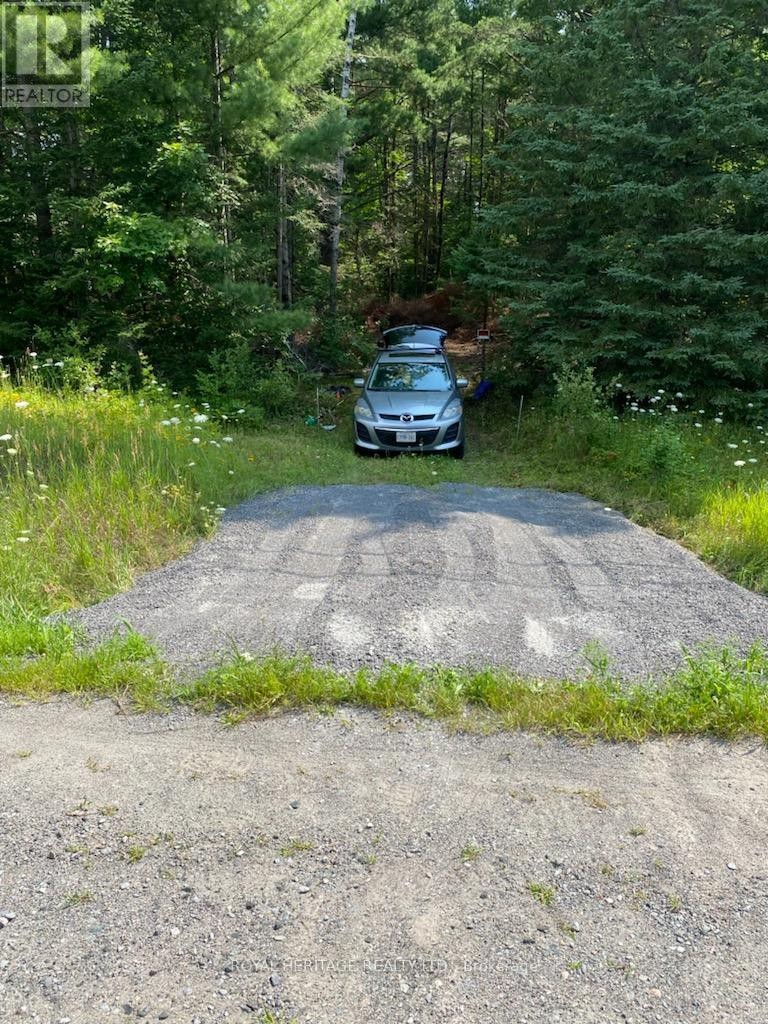 












17556 HIGHWAY 62

,
Madoc,







Ontario
K0K2K0

