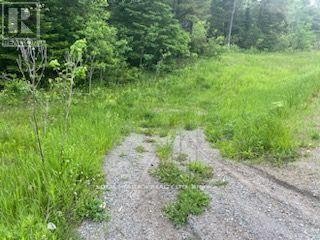 












17556 HIGHWAY 62

,
Madoc,







Ontario
K0K2K0

