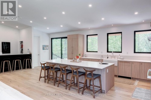 Gourmet kitchen