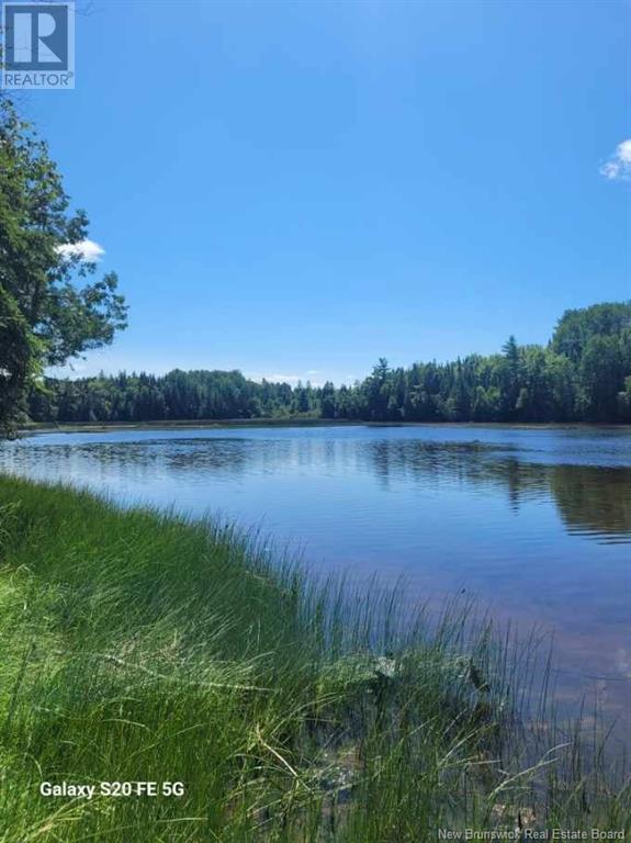 












Lot 21-4 Route 495

,
South Branch,







New Brunswick
E4W3L4

