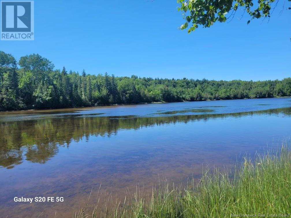 












Lot 21-4 Route 495

,
South Branch,







New Brunswick
E4W3L4


