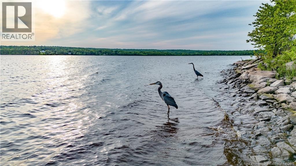 












1304 Scenic Narrows Boulevard

,
Cambridge-Narrows,




New Brunswick
E4C2N6

