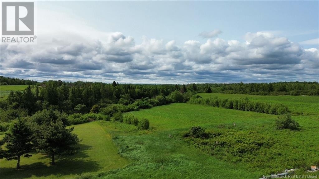 












78 RUE VIENNEAU

,
Cap-Pelé,







New Brunswick
E4N1V1


