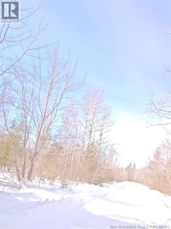 












Woodlots Gallant Settlement Cross Road

,
Cormier Village,







New Brunswick
E4P7M7


