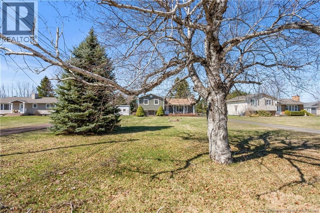 












28 Yvon

,
Saint-Antoine,




New Brunswick
E4V1L1


