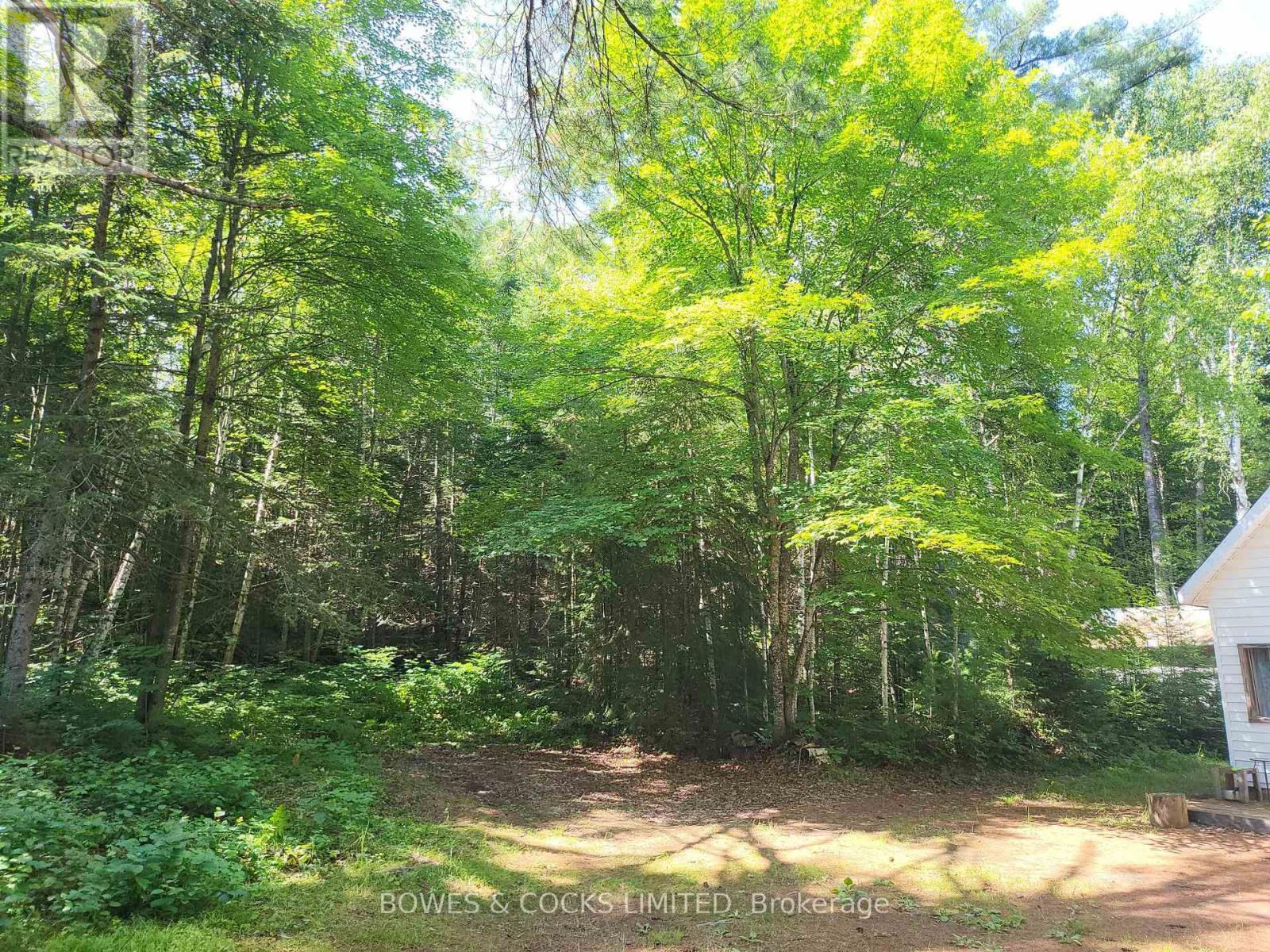 












24 ROBINSON ROAD

,
Hastings Highlands (Monteagle Ward),




Ontario
K0L2S0

