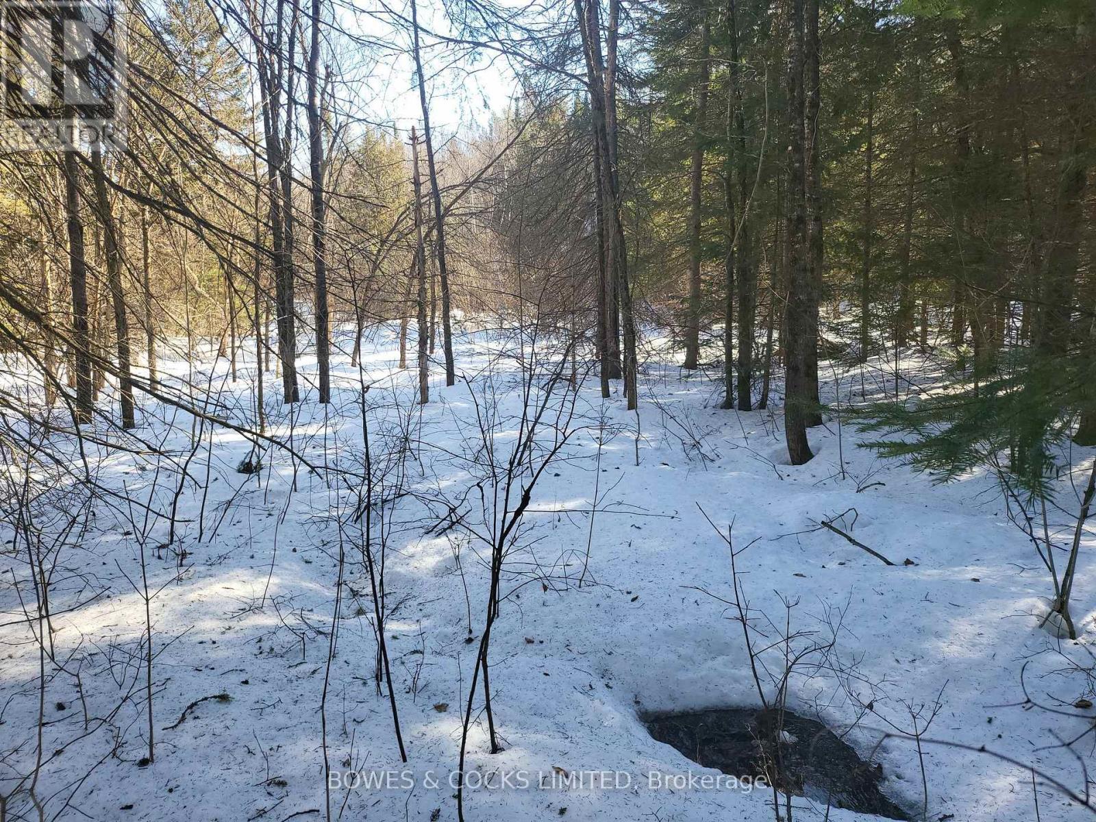 












0 HIGHWAY 62 N

,
Hastings Highlands (Monteagle Ward),







Ontario
K0L2S0

