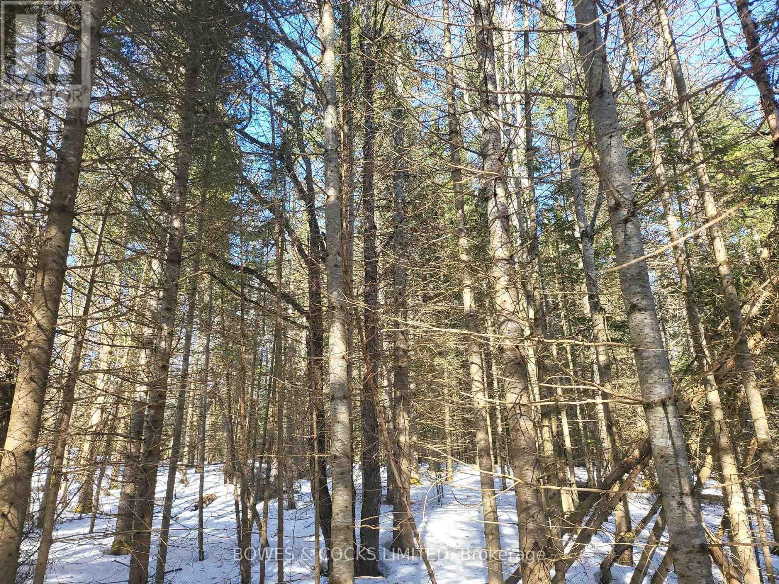 












0 HIGHWAY 62 N

,
Hastings Highlands (Monteagle Ward),







Ontario
K0L2S0

