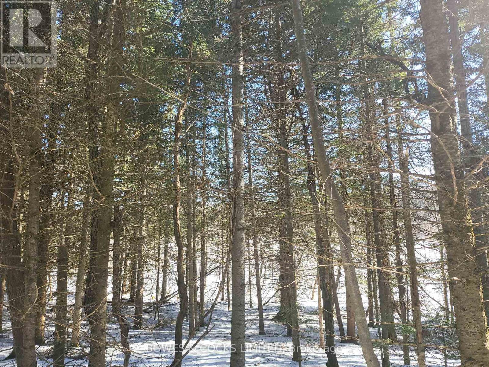 












0 HIGHWAY 62 N

,
Hastings Highlands (Monteagle Ward),







Ontario
K0L2S0

