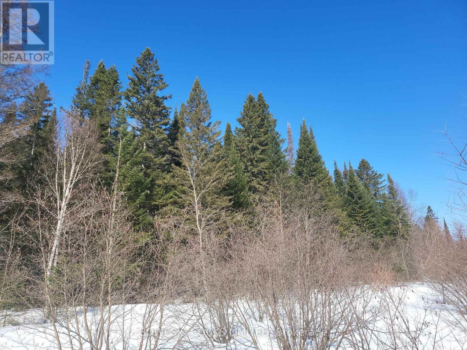 












0 HIGHWAY 62 N

,
Hastings Highlands (Monteagle Ward),







Ontario
K0L2S0


