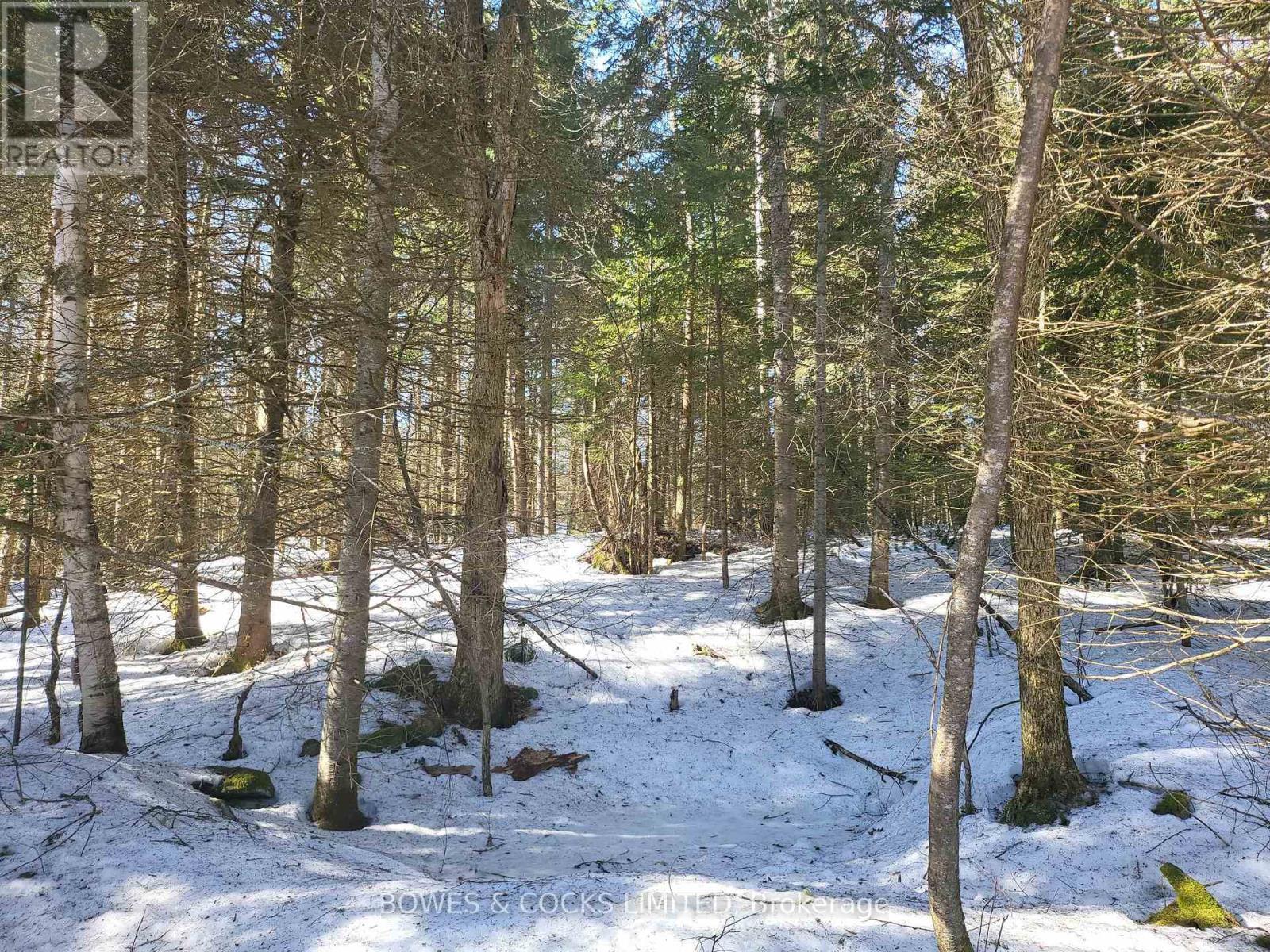 












0 HIGHWAY 62 N

,
Hastings Highlands (Monteagle Ward),







Ontario
K0L2S0

