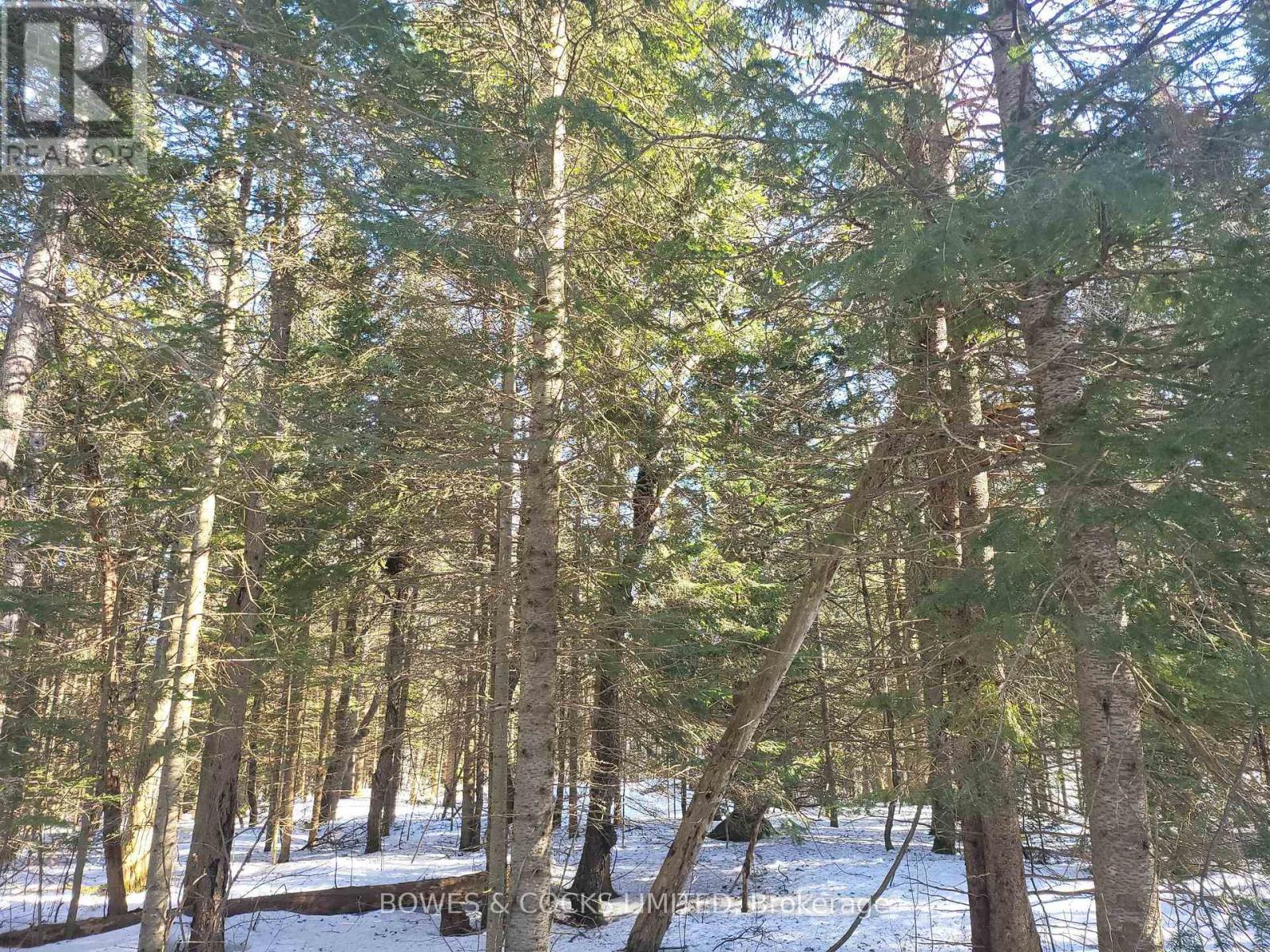 












0 HIGHWAY 62 N

,
Hastings Highlands (Monteagle Ward),







Ontario
K0L2S0

