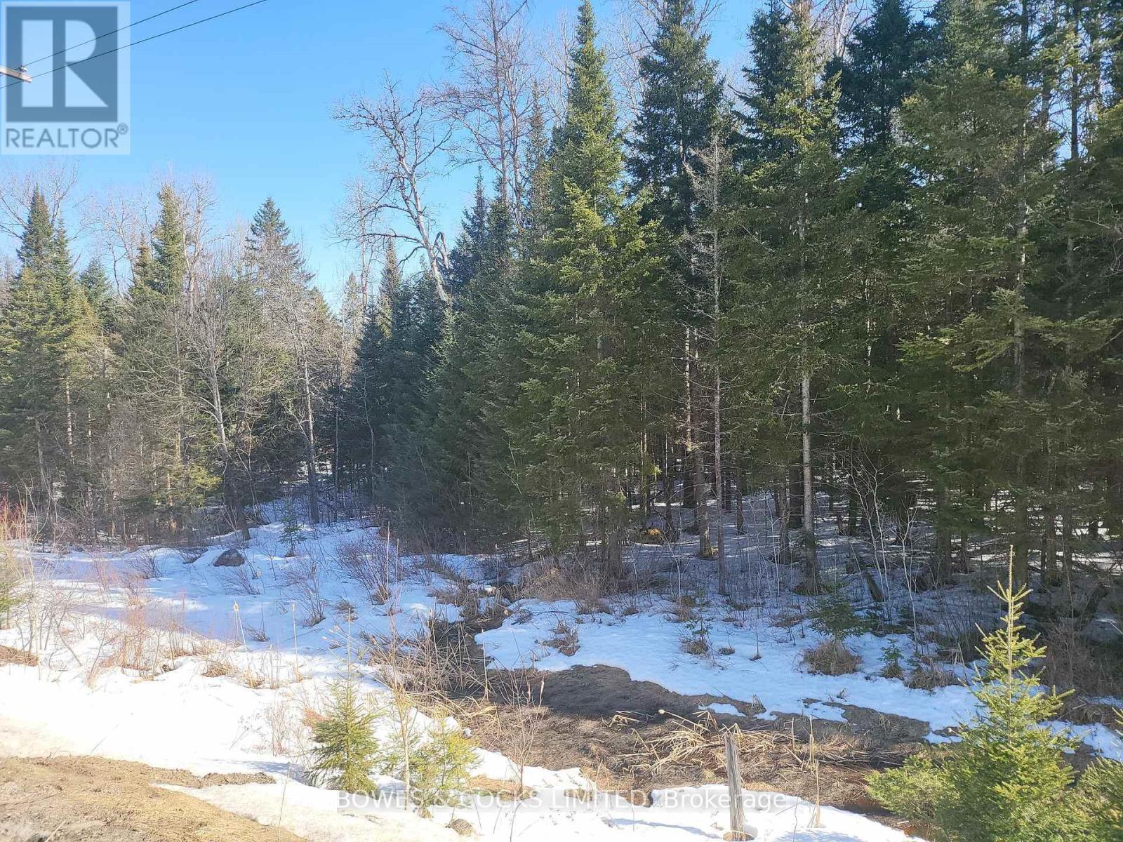 












0 HIGHWAY 62 N

,
Hastings Highlands (Monteagle Ward),







Ontario
K0L2S0

