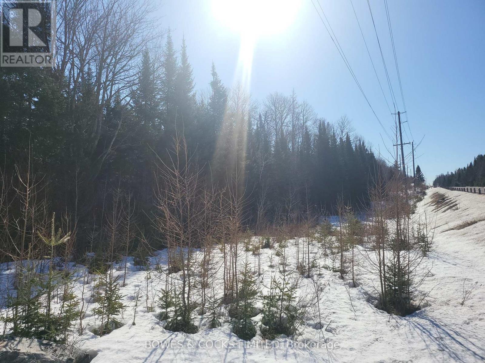 












0 HIGHWAY 62 N

,
Hastings Highlands (Monteagle Ward),







Ontario
K0L2S0

