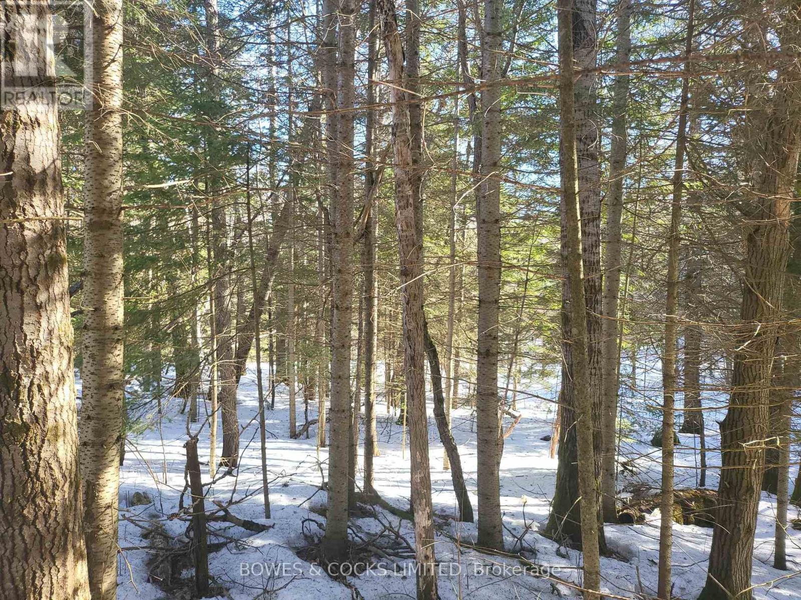 












0 HIGHWAY 62 N

,
Hastings Highlands (Monteagle Ward),







Ontario
K0L2S0

