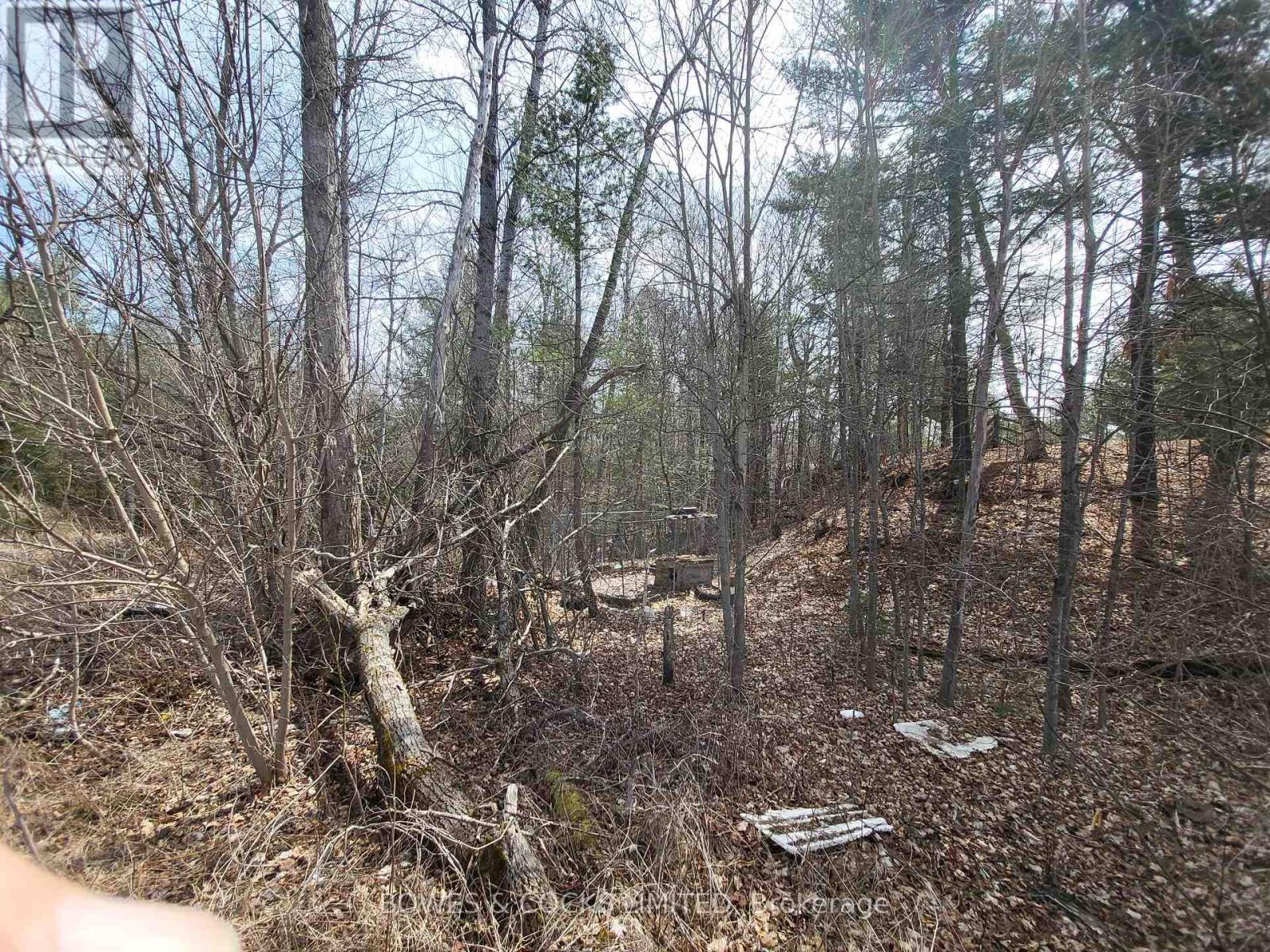 












26642 HIGHWAY 62 S

,
Bancroft (Dungannon Ward),




Ontario
K0L2L0


